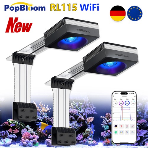 Popbloom 2stück wifi - popbloom,