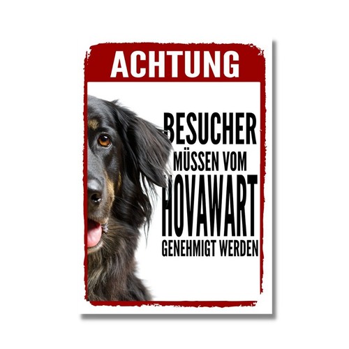 Hovawart genehmigung dog - hovawart,