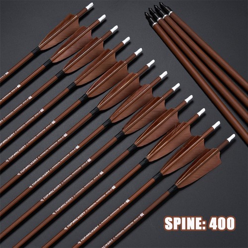 Carbonpfeile pfeile sp400 - 31",