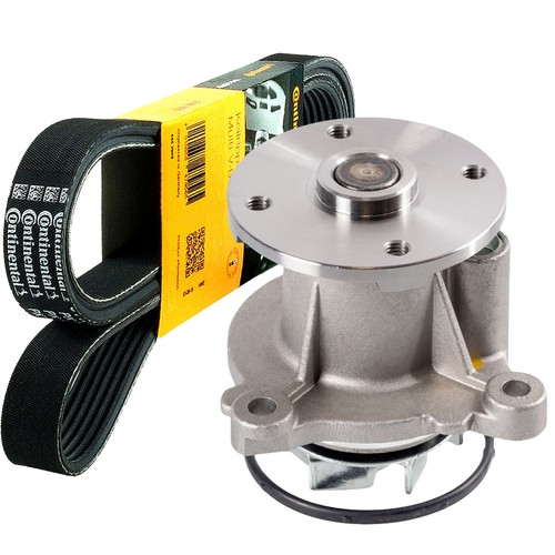 Conti keilrippenriemen 5pk1236 - conti,