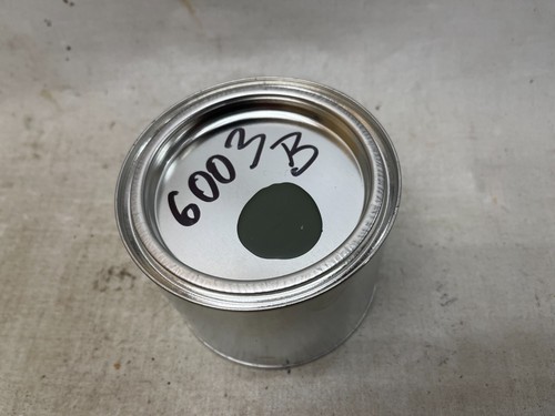 Ral6003 blend lack - blend,
