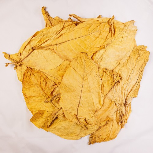 Virginia-Gold-Tabakblätter-Ro
