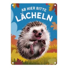 Fröhlicher Igel - Ab hier
