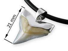 Echt Haizahn 925er Silber