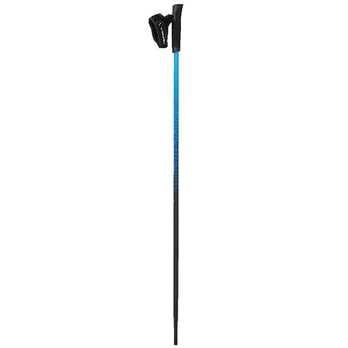 Kijki nordic walking - walking, viking