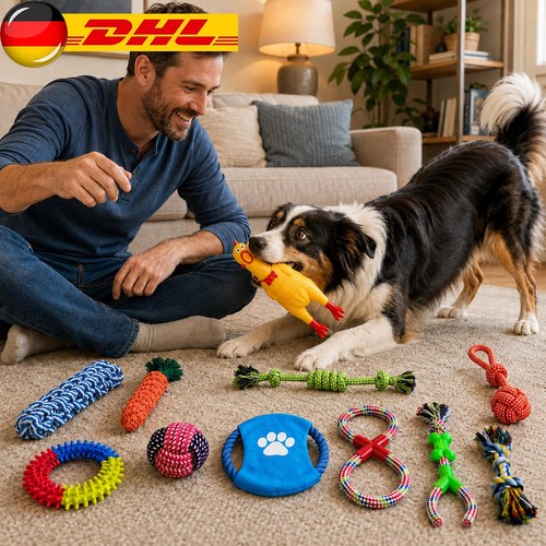 Hundespielzeug set hund - hundespielzeug,