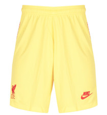 Nike FC Liverpool Herren Away