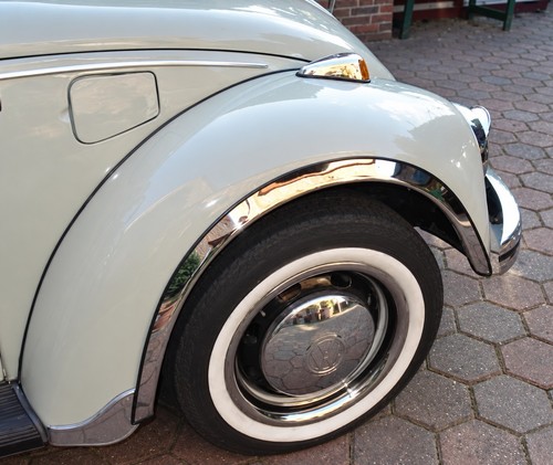 Radlaufleisten beetle - radlaufleisten,