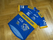 SCOTT: Radtrikot, Jersey, Rennrad Trikot,... Größe L - SEHR GUT  (096)