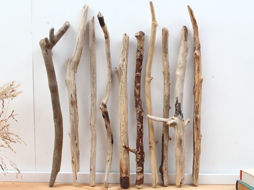 53cm treibholz äste deko - treibholz, Äste,