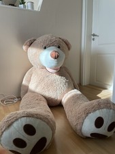 xxl teddy
