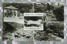 Schöne alte s/w Ansichtskarte - ILFELD (Harz) - Netzkater - guter Sammlerzustand
