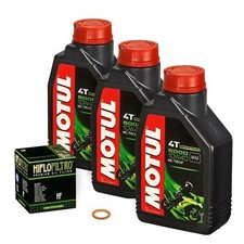 Yamaha FZS 600 Fazer /S, 98-03, RJ02; Motul 10w40 Öl; HiFlo Ölfilter Motorölset