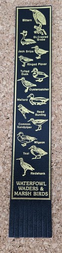 Waterfowl waders marsh - &,