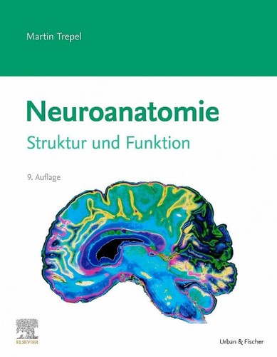 Neuroanatomie struktur und - struktur,