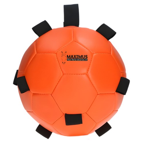 Maximus fun play ball - maximus,