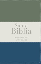 Biblia RVR 1960 Letra Grande