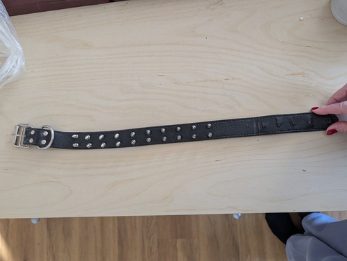 Hundehalsband breit schwarz - hundehalsband,