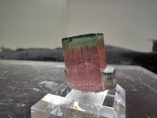 Turmalin Elbait - Aricanga-Mine - Minas Gerais - Brasilien