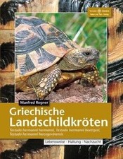 Griechische landschildkröten - griechische,
