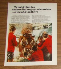 Seltene Werbung BAYER Sicherheitsglas Scheiben - Tiger 1969