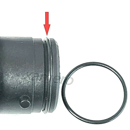 Ringe für steinbach - o-ringe,