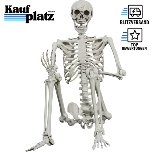 Halloween skelett 165cm - halloween-skelett,