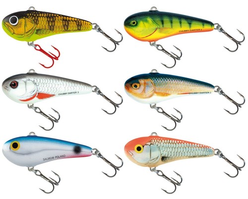 Salmo chubby darter - chubby,