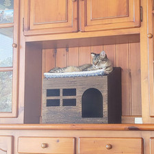 Katzenhöhle Groß Katzen