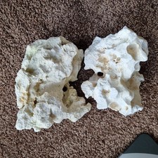 Lochgestein Felsen Naturstein Aquarium Lochstein Höhle Kalk Aquascaping ca 2,3kg