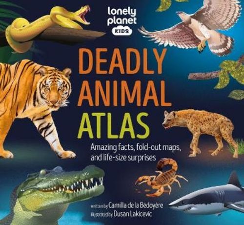 Lonely planet - lonely,