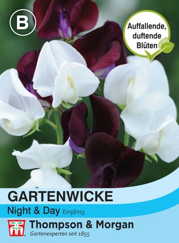 Gartenwicke night day - gartenwicke,
