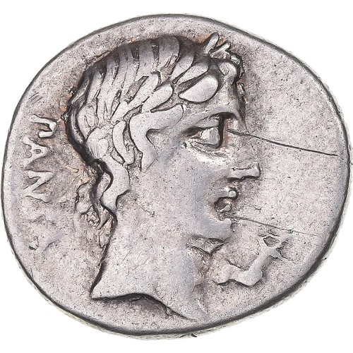 Münze vibia denarius 90 - vibia,, denarius,