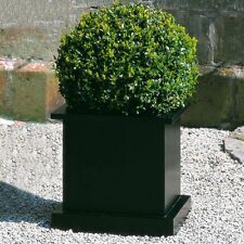 Conmoto Flower Blumentopf Übertopf groß 54x52x52 cm