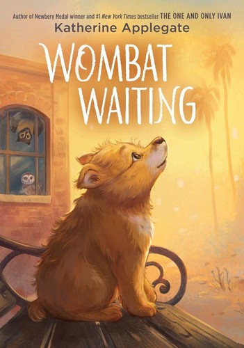 Wombat waiting katherine - |,