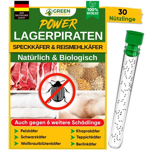 Lagerpiraten gegen