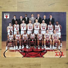 Chicago Bulls Air Jordan 1 Pippen Rodman Poster Vintage NBA Trikot Jersey 292