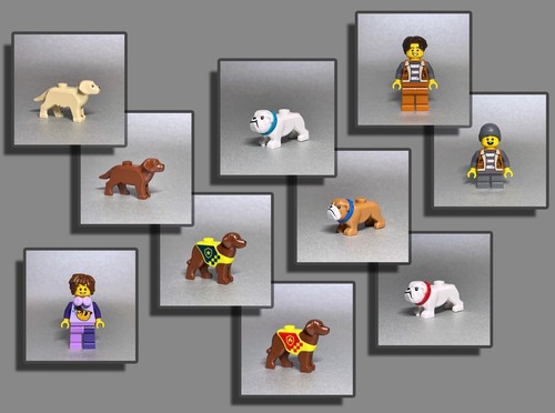 Lego tiere hund bulldogge - hund,