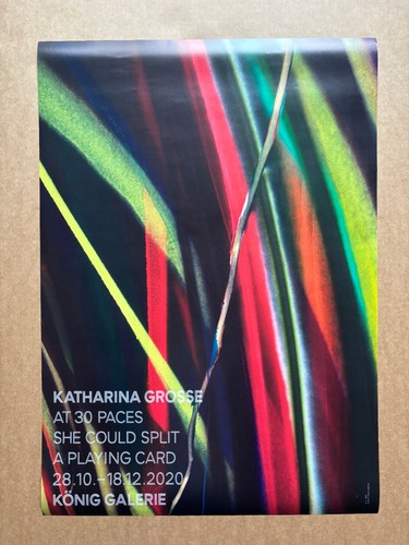 Katharina grosse - katharina,