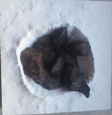 meteorite  With a recognized certificate / Meteorit Mit anerkanntem Zertifikat