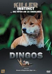 Killer instinct dingos - instinct, dvd
