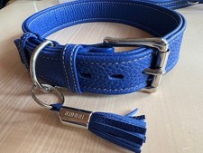 Hundeleine Hundehalsband