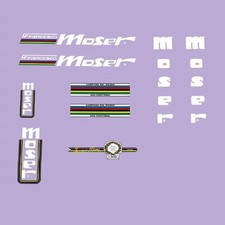 Francesco Moser Bicycle