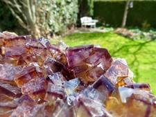 ⚒  Große Dunkelgelb/Lila