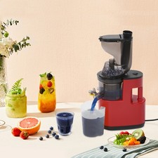 Entsafter Slow Juicer 500W