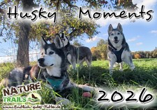 Siberian Husky - Sibirische