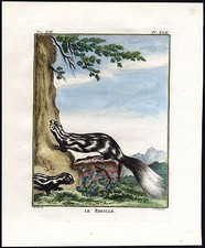 Antiker Druck - GESTREIFTER