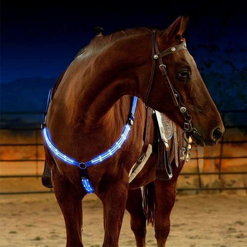 Pferd led geschirr - geschirr, nylon