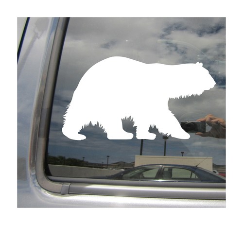 Polar bear arctic circle - polar,