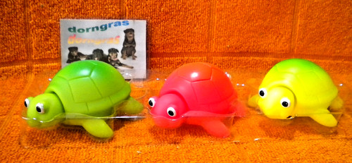 3er set schildkröten - 3er,